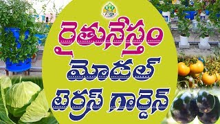 Rythunestham Model Terrace Garden || Rythunestham Foundation
