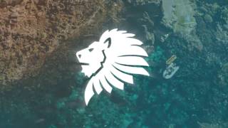 Matbow x Wizard - She [Bass Boosted]