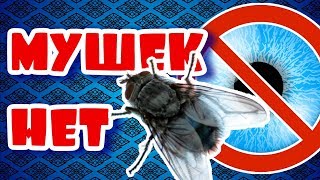Мушки в глазах исчезают навсегда. Лечебное видео для глаз. Полное восстановление зрения.