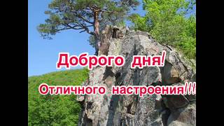ХОРОШЕГО, ДОБРОГО, УДАЧНОГО ДНЯ И ОТЛИЧНОГО НАСТРОЕНИЯ!Красивая музыкальная открытка прекрасного дня