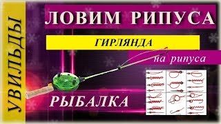 Увильды.Ловля рипуса.Монтаж гирлянды.