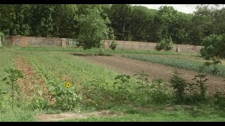 Animal-free Farming | Living With The Land | Part 6