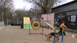 Сырова Вика и НО Дана, трасса Аджилити 14,04,2012