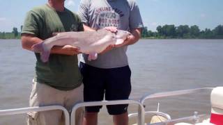 Catfish jugging on the Mississippi River
