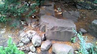 Королевские лазенки - Варшава Pan Zmitser #борода