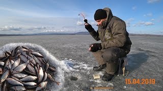 РЫБАЛКА НА ЧЕРНОИСТОЧИНСКОМ ВОДОЁМЕ!!! ЧЕБАК!!! ОКУНЬ!!!