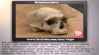 Топ 10 трупов найденных не сразу   Интересные факты