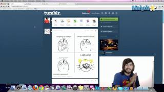 Tumblr Overview - Tumblr