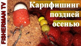 Карпфишинг поздней осенью