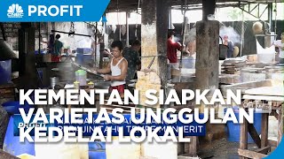 Genjot Produksi Kedelai Lokal, Kementan Siapkan Varietas Unggulan