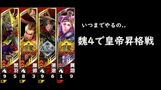 【三国志大戦】古の魏4