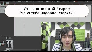 Reaper - Частые Вопросы (Инспектор, Tape Stop, SWS и пр.)