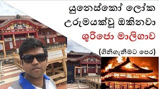 Okinawa Shurijo castle - Vlog 2.3- ඔකිනවා ශුරිජො මාලිගාව
