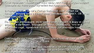 В Китае скат вцепился в гениталии купальщика