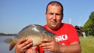 Sumy i nie tylko z rzeki Wisłok w Rzeszowie - wędkarstwo