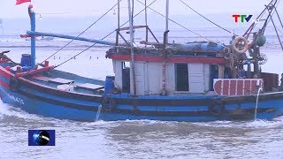 Bản tin thời sự tối 8/2/2020 | Truyền hình Thanh Hoá TTV