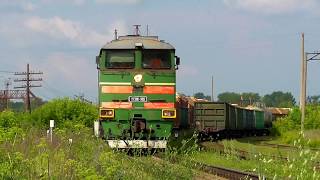 2ТЭ116-982 с грузовым поездом прибывает на станцию Егоршино