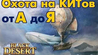 Black Desert (RU) - Полный гайд по охоте на китов