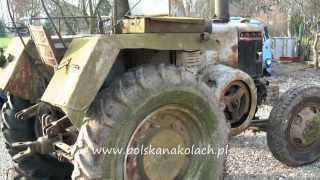 Hardkorowy widok - muzealny traktor Ursus C451 (C45) w trakcie mycia (hard core)