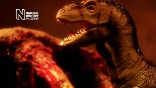 Remote-Controlled Tyrannosaurus Rex from The Natural History Museum