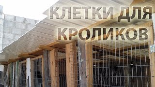 Кролиководство: Как сделать клетки для кроликов грамотно!