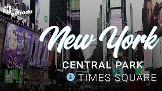 Nova York: Passeio pelo Central Park, Times Square e Broadway!