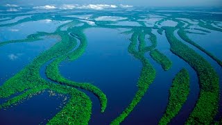 10 ФАКТОВ О РЕКЕ АМАЗОНКЕ