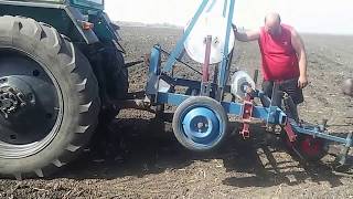 Выращивание арбузов.Начало арбузного сезона.Укладываем  каплю под пленку .Начинаем высадку рассады.