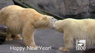 Happy New Year from the Cincinnati Zoo