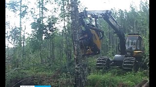 На делянке в Пудожском районе работает новый харвестер
