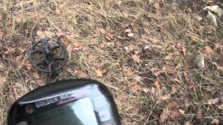 Golden Mask 5 with 9'' Spider Coil in action