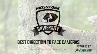 Best Direction to Face Trail Cameras - Avoiding False Triggers
