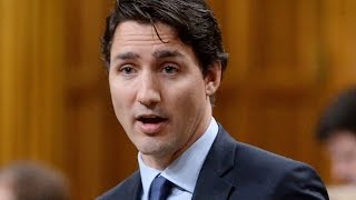After “Elbowgate”, Liberals retreat from imposing anti-democratic Motion 6