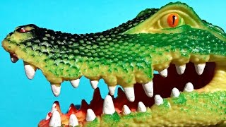 Giant Crocodile Toy For Kids Review. Interesting Facts About Crocodiles