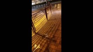 20180909 有關車輛TD2595妨礙其他道路使用者之投訴