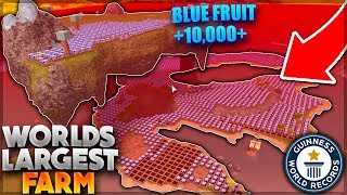 WORLDS LARGEST FARM *GOT DESTROYED* (Blue Fruit, Blood Fruit Farm) | Roblox: Booga Booga