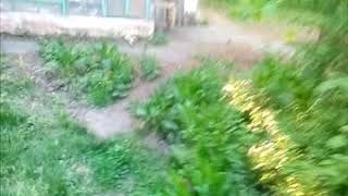 Целебный источник "Бычковы Ванны" г. Хадыженск май2018