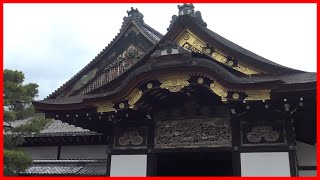 CASTILLO DE NIJO, KYOTO ★ Mustangcillo en Japón