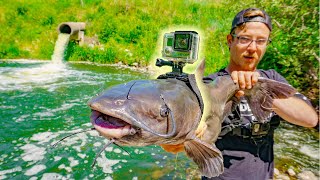 I Strapped A GoPro To a Catfish!!! (Underwater Spillway Footage)