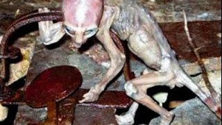 اقوى 4 مشاهد غريبة صورتها الكاميرا!!!