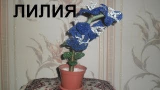 Бисероплетение для начинающих (Лилия) Мастер-класс