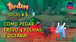 Temtem - Dicas 5: Como pegar Trevo de Quatro folhas SEM SKATES (Passo a passo) + Onde pegar OCEARA!