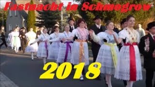 Jugendfastnacht in Schmogrow 2018 / Der Umzug der fröhlichen Leute