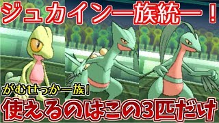 【ポケモンUSUM】ジュカイン一族統一で対戦してみた！【ゆっくり実況】