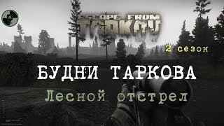Escape from Tarkov Лесной отстрел