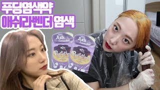 ENG)존예탱!!푸딩염색약으로 염색하고 물빠짐 까지~[아이슬란드 애쉬 라벤더]