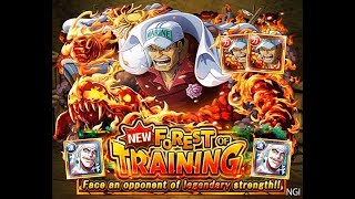 [OPTC] Enel 0 Stamina Training Forest - Double Legend Akainu
