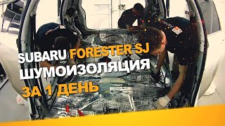 Шумоизоляция Subaru Forester SJ за 1 день. Уровень Оптима. АвтоШум.