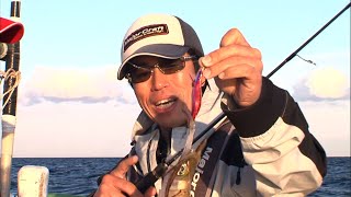 ティップランエギング好調！ 良型のアオリイカを狙え！/四季の釣り/2014年10月3日OA
