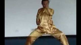 Shaolin Five Animal Set by Sifu Wong
